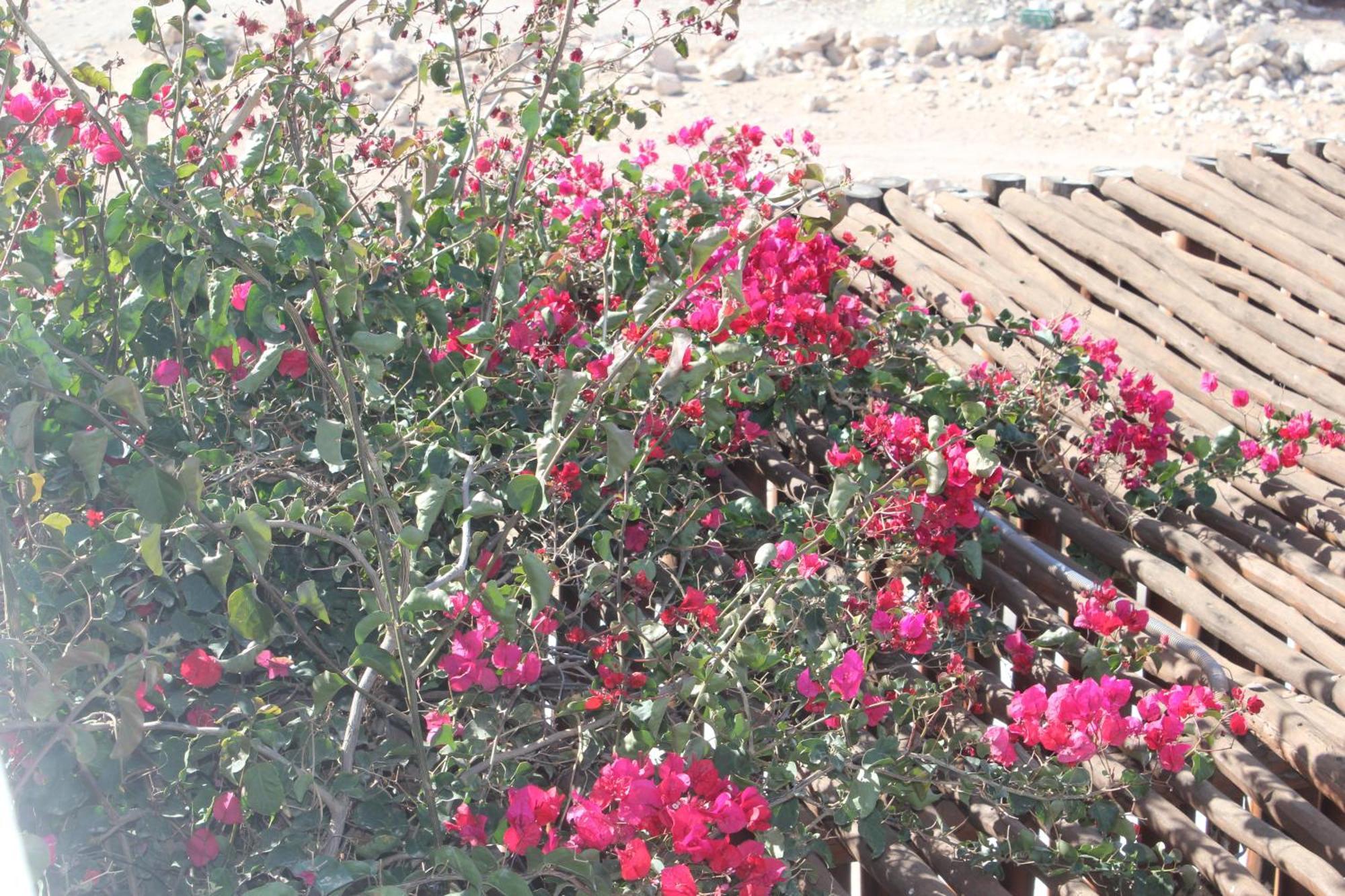 La Maison Des Vagues Sidi Kaouki Eksteriør bilde